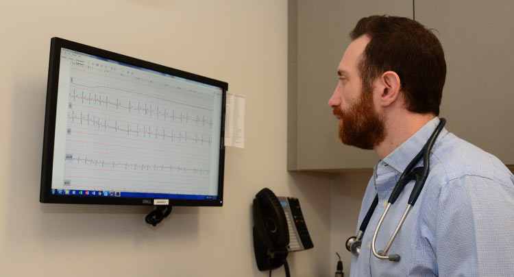 Veterinary Echocardiography at Locust Valley Veterinary Clinic