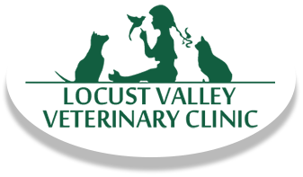 Veterinarians, Animal Hospital in Locust Valley NY