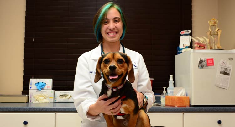 Canine Wellness Care at Locust Valley Veterinary Clinic