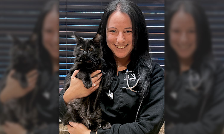 Meet Dr. Kristie Williams Veterinarian at Locust Valley Veterinary Clinic